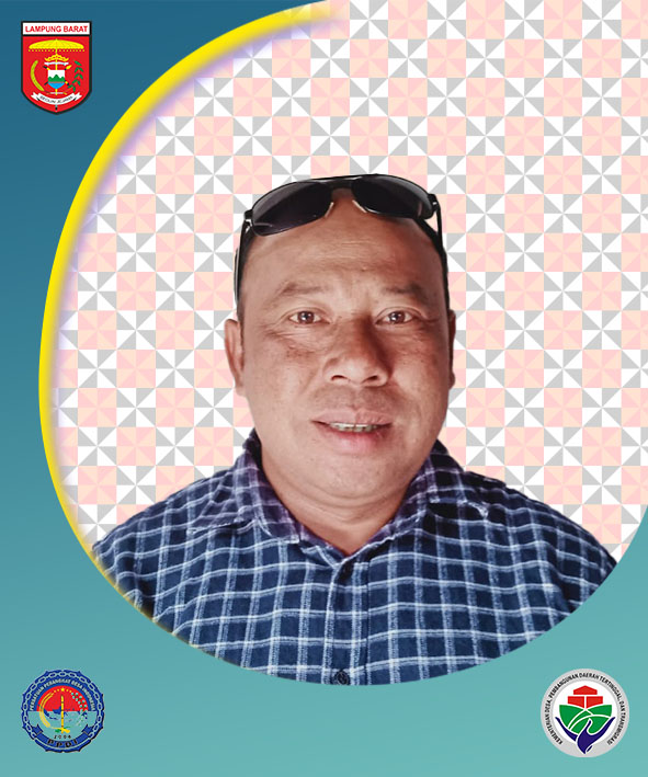 SARMAN